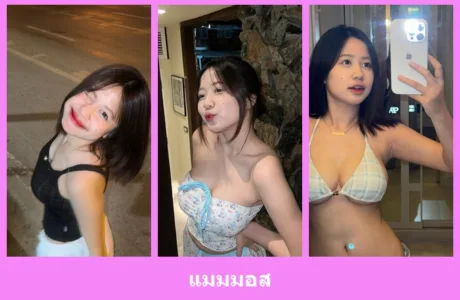 เปิดวาร์ป แมมมอส - idoljung