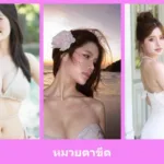 เปิดวาร์ป หมวยตาขีด - idoljung